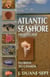 Atlantic Seashore Field Guide - Florida to Canada