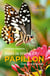 Dans la tête d'un papillon