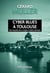 Cyber blues à Toulouse