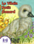 Le vilain petit canard