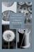 Material Spirituality in Modernist Women’s Writing