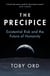 The Precipice - ‘A book that seems made for the present moment’ New Yorker