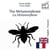 La Métamorphose - édition bilingue anglais – français (pour apprendre l'anglais): Affichage ligne à ligne synchronisé