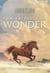 Sur la piste de Wonder