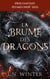La brume des dragons - Romantasy One-shot