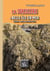 La sorcellerie à Belle-Île-en-Mer - légendes, contes et histoires vraies