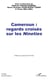 Cameroun : regards croisés sur les <em>Nineties</em>