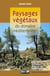 Paysages végétaux du domaine méditerranéen - Bassin méditerranéen, Californie, Chili central, Afrique du Sud, Australie méridionale