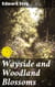 Wayside and Woodland Blossoms - A Pocket Guide to British Wild-flowers for the Country Rambler