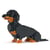 Chien Teckel assis noir et feu Taille standard | JEKCA | 14 ans et +
