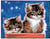 Kit canevas Chatons 20x25cm