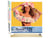 Peinture par Numéro Figured'Art - Fille joyeuse - Kit de Loisir Créatif DIY Numéro d'Art Complet - 40x50cm toile roulée + châssis en bois à monter