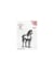 Tampon transparent cheval NELLIE SNELLEN