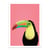 Affiche 50x70 cm - Toucan bird in pink - Gal Design