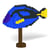 Poisson Chirurgien bleu Taille standard | JEKCA | 14 ans et +