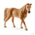 Jument Tennessee Walker