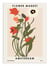 Affiche 50 x 70 cm -  Flower Market Amsterdam - NKTN