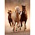 Puzzle chevaux qui courent en liberte 1000 pieces - collection animaux sauvages - clementoni - 39168