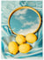 Affiche Lemon | A3 : 29,7x42cm