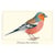 Longue vue editions - Pinson des arbres - Magnet