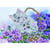 Chatons au panier