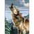 Princesse - Canevas antique Le loup 32x50cm