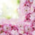 Lot de 4 serviettes en papier découpage collage 33 cm BORDURE FLEUR ROSE F 311