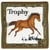 Ecusson thermocollant trophée cheval kaki 6 cm x 6 cm