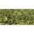 Paillettes, 6mm bombées, boîte 6g, lavable, olive