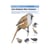 Miniguide 89 - Les oiseaux des roseaux