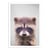 Affiche 50x70 cm - Raccoon - Gal Design