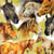 Lot de 4 serviettes en papier découpage collage 33 cm PORTRAIT DE CHEVAUX A 4004