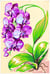 Canevas antique Orchidées 30x40cm