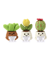 KIT DIY – Les Cactus Positifs by Oké! Vert