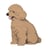 Chien Caniche Nain assis beige Taille standard | JEKCA | 14 ans et +