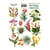 Planche de stickers couleur embelissement Fabrika Decoru BOTANY EXOTIC 204