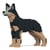 Chien Bouvier Australien Taille standard | JEKCA | 14 ans et +