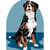 LUC - Kit Canevas Blanc Chien 25x30 cm 100% Coton