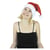 Bonnet de père noel luxe pole nord - PartyPro