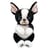 Beanie Bellies Small – Tink Le chien - Ty - Aqua