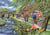 Puzzle 1000 pièces - Le Vent Dans Les Saules - HOP - House of Puzzles