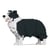 Chien Border Collie noir Taille standard | JEKCA | 14 ans et +
