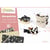 Set de découpage collage AVENUE MANDARINE - 2 boîtes créatives - Décopatch - Boîtes et tirelire Chat - papier mâché