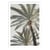 Affiche 30x40 cm - Palm_005 - Pictufy Studio III