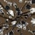 Tissu Jersey Milano  Ponte Di Roma Motifs Abstraits sur fond Camel