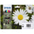 Epson T1806 Pack De 4 Cartouches Epson 18 modèle pâquerette