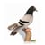 Pigeon Voyageur 20cm – ANIMA - Hansa - Beige