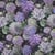Tissu Toile Canvas fleurs Florombra violettes sur fond Noir profond - Au mètre