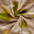 Tissu Lin Viscose Isaline fine aquarelle Rosée sur fond Ecru