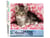Peinture par Numéro Figured'Art - Chaton enrobé - Kit de Loisir Créatif DIY Numéro d'Art Complet - 40x50cm sans châssis en bois